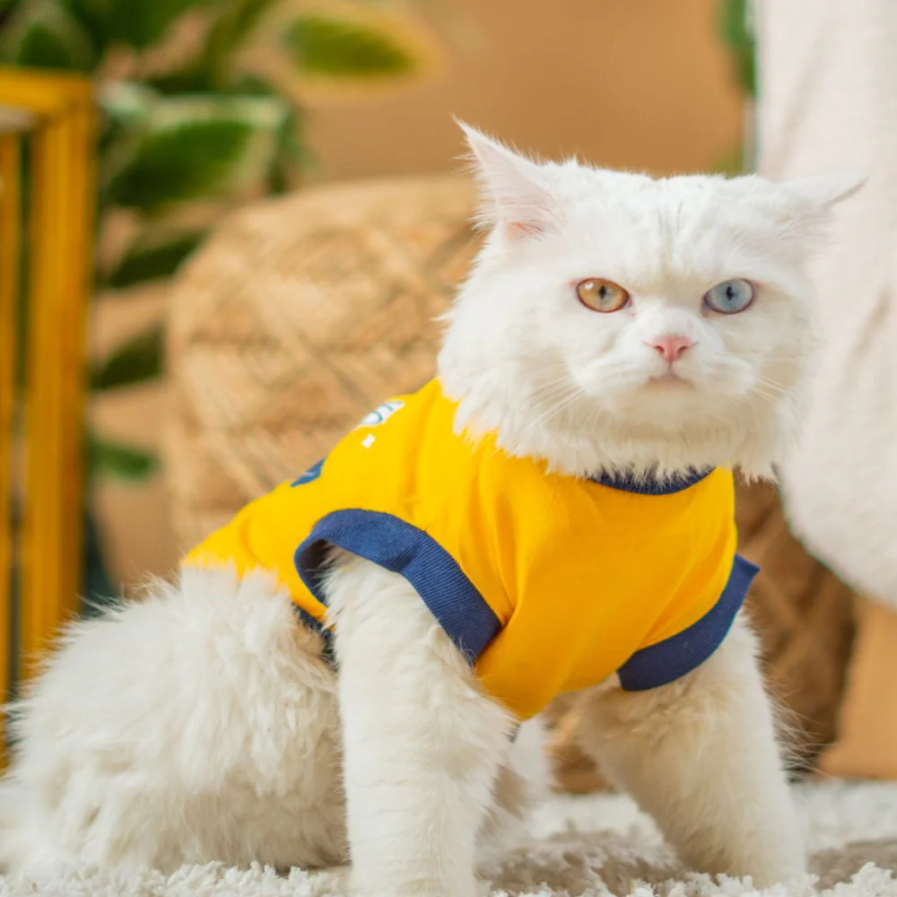 Pet Set Go Coolest Kid T-shirt for Cats (Yellow) - Image 5