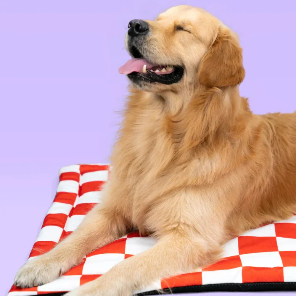 Pet Set Go Cozy Checks Mat for Dogs and Cats (Red) - Image 13