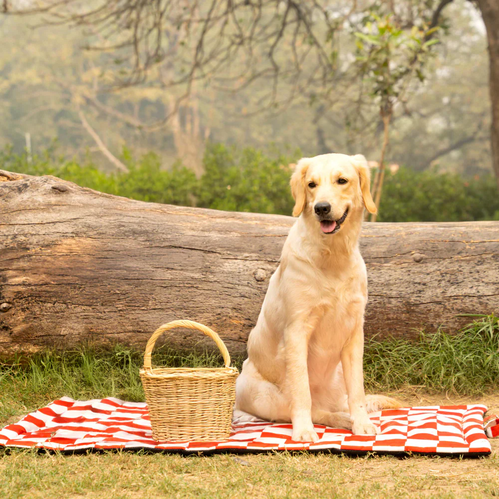 Pet Set Go Cozy Checks Mat for Dogs and Cats (Red) - Image 2