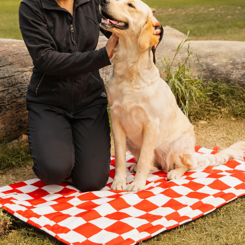 Pet Set Go Cozy Checks Mat for Dogs and Cats (Red) - Image 3