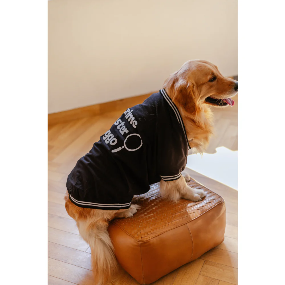 Pet Set Go Crime Master Sleevless T-shirt for Dogs (Black) - Image 5