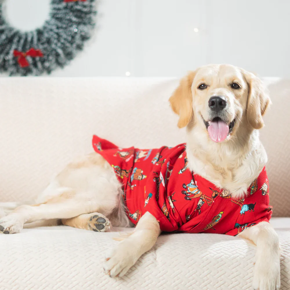 Pet Set Go Dashing through the Snow Shirt for Dogs (Red) - Image 5