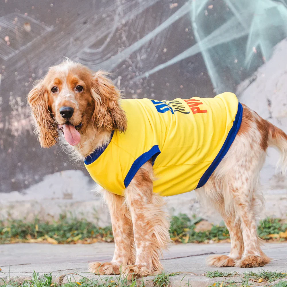 Pet Set Go Dekho Magar Pyaar Sey Tshirt for Dogs (Yellow) - Image 3