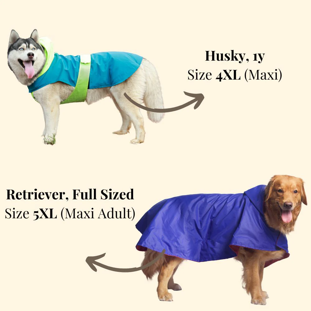 Pet Set Go Dual Colour Cape Style Raincoat for Dogs (Purple) - Image 11