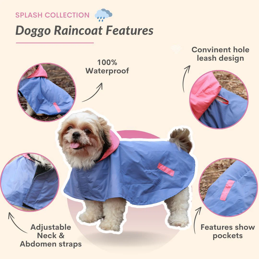 Pet Set Go Dual Colour Cape Style Raincoat for Dogs (Purple) - Image 4