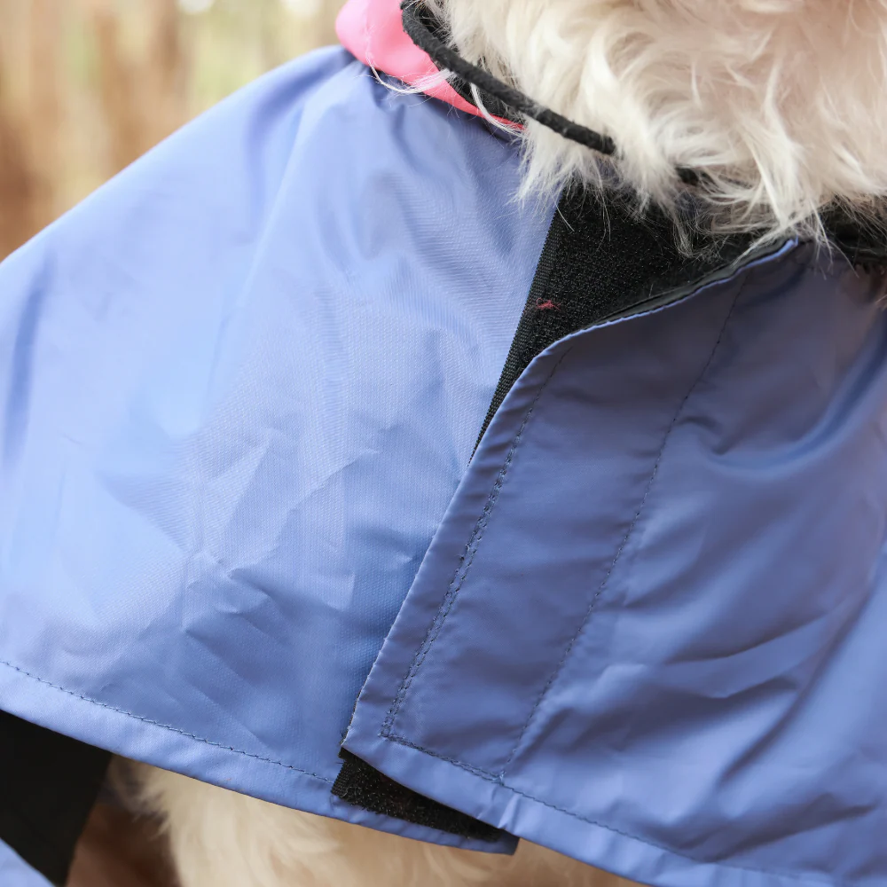 Pet Set Go Dual Colour Cape Style Raincoat for Dogs (Purple) - Image 5