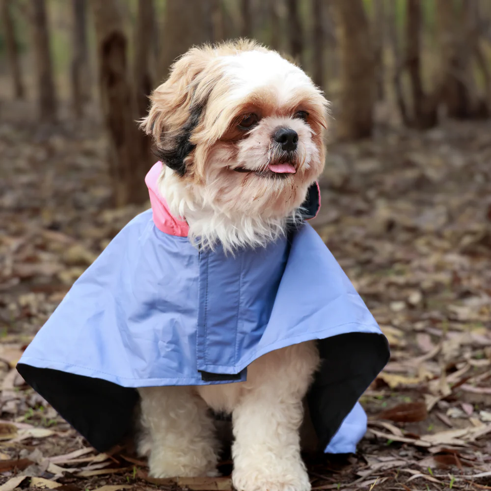 Pet Set Go Dual Colour Cape Style Raincoat for Dogs (Purple) - Image 9