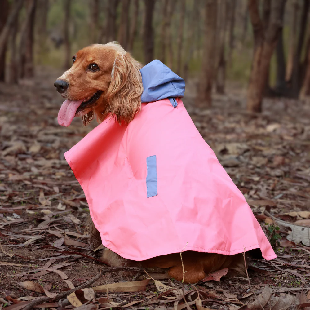 Pet Set Go Dual Colour Cape Style Raincoat for Dogs (Pink) - Image 5