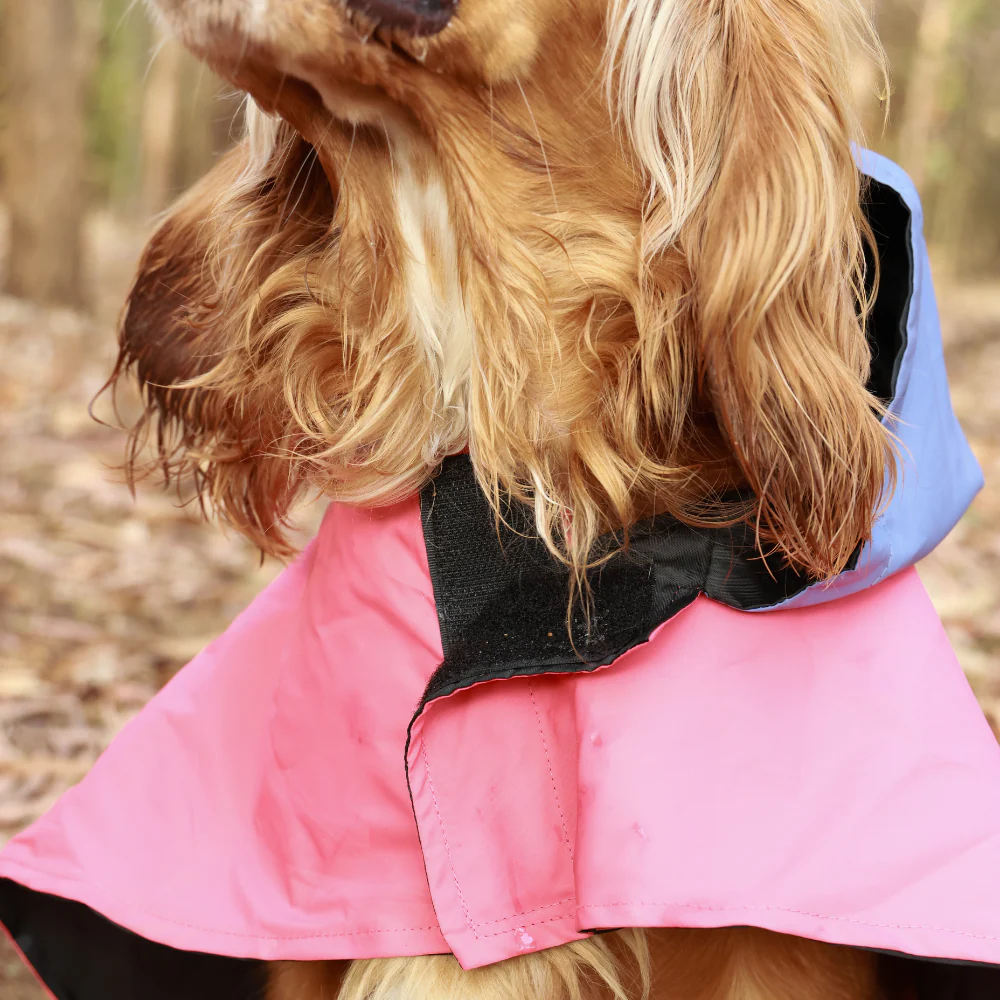 Pet Set Go Dual Colour Cape Style Raincoat for Dogs (Pink) - Image 6