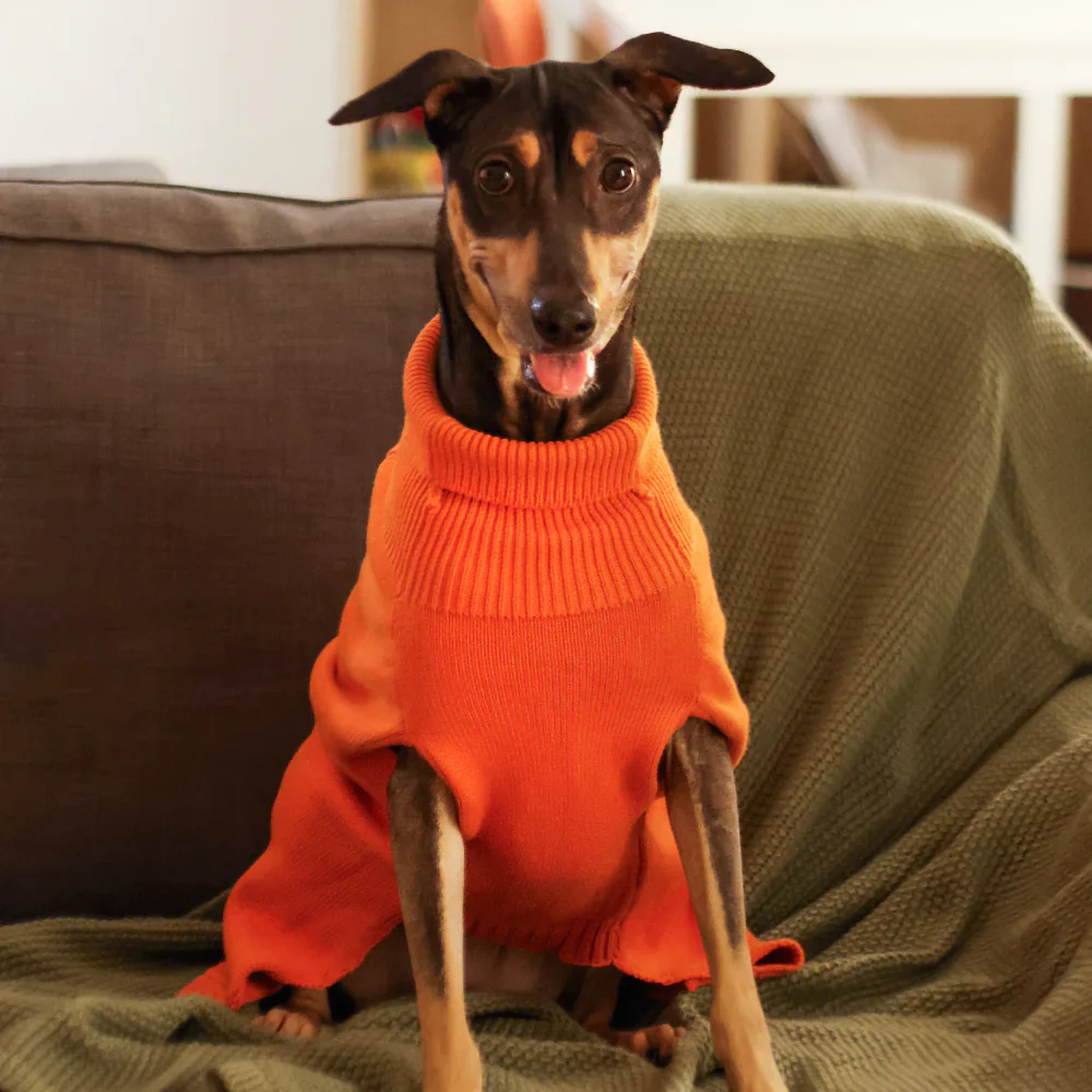 Pet Set Go Elsa's Sweater for Dogs (Orange) - Image 2