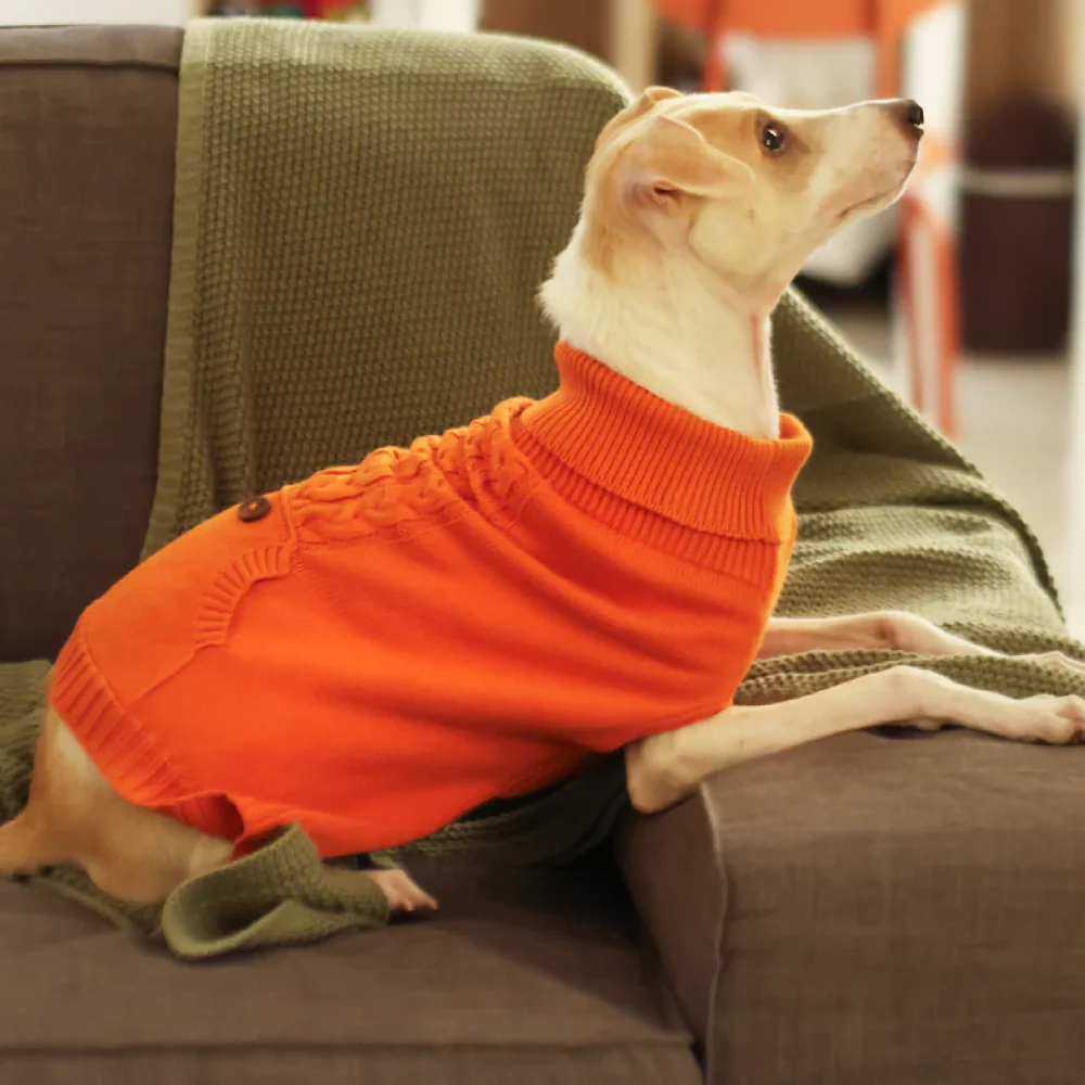Pet Set Go Elsa's Sweater for Dogs (Orange) - Image 3