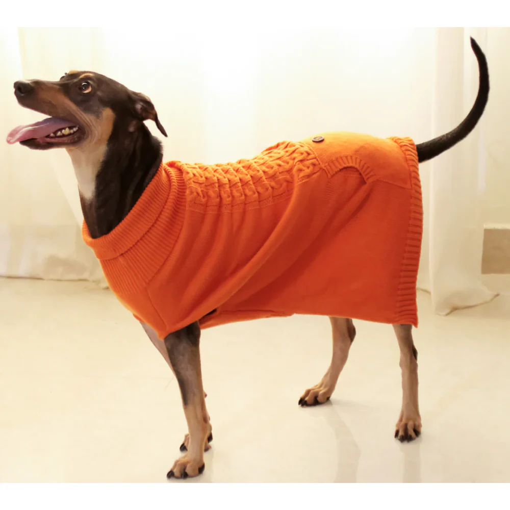 Pet Set Go Elsa's Sweater for Dogs (Orange) - Image 4