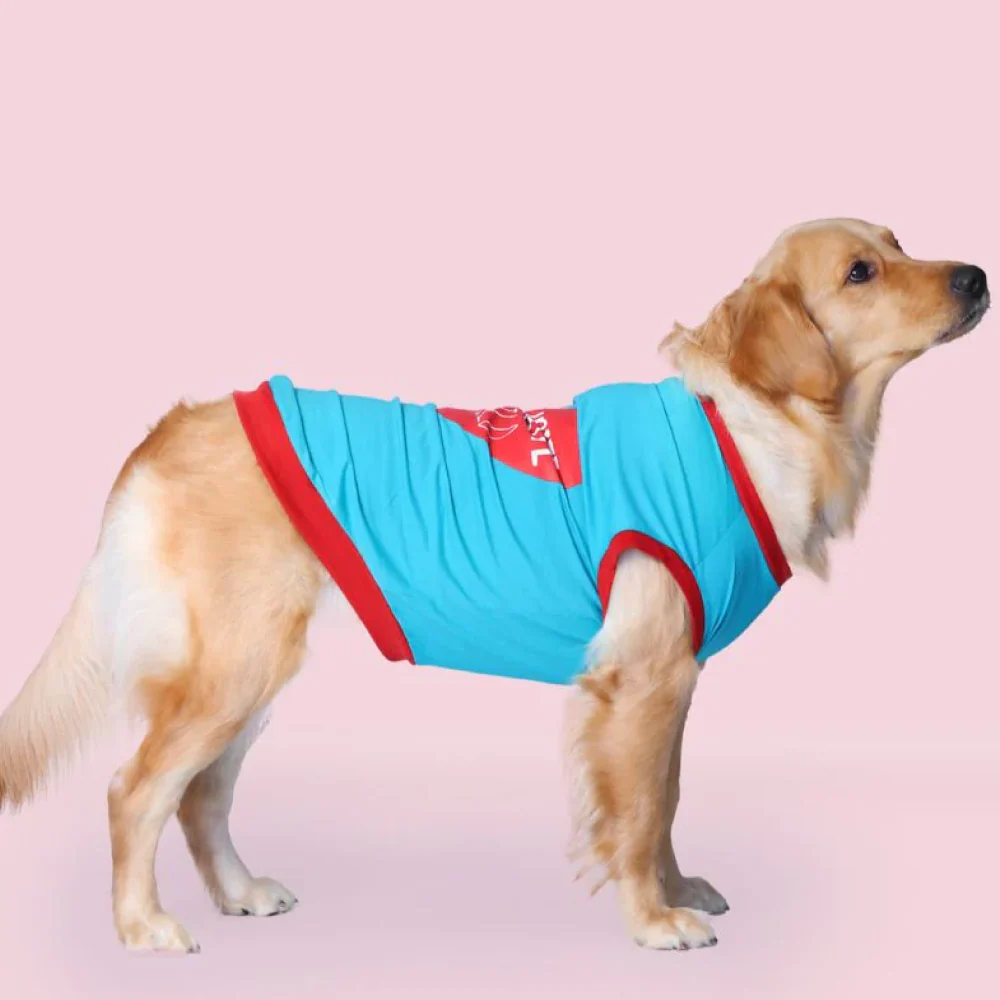 Pet Set Go Favourite Child Tshirt for Dogs (Blue) - Image 2