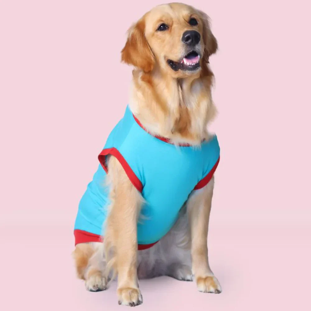 Pet Set Go Favourite Child Tshirt for Dogs (Blue) - Image 3