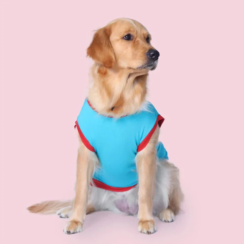 Pet Set Go Favourite Child Tshirt for Dogs (Blue) - Image 4