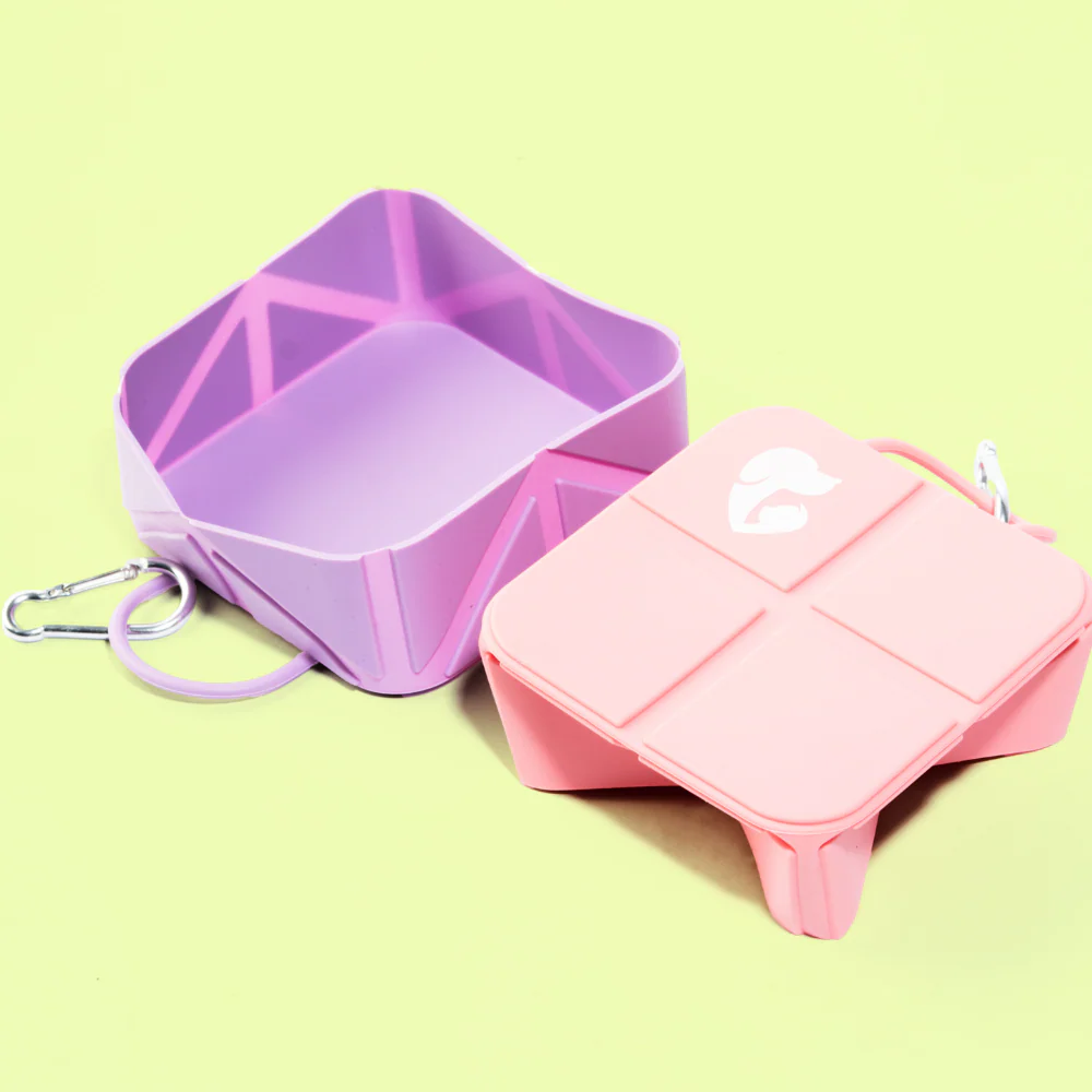Pet Set Go  Foldable Square Bowl for Dogs (Pink) - Image 8