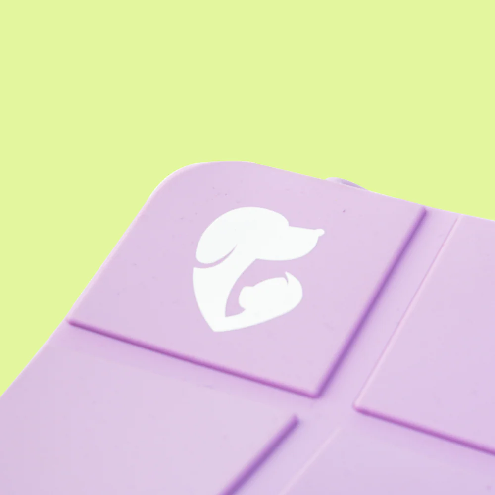 Pet Set Go  Foldable Square Bowl for Dogs (Purple) - Image 7