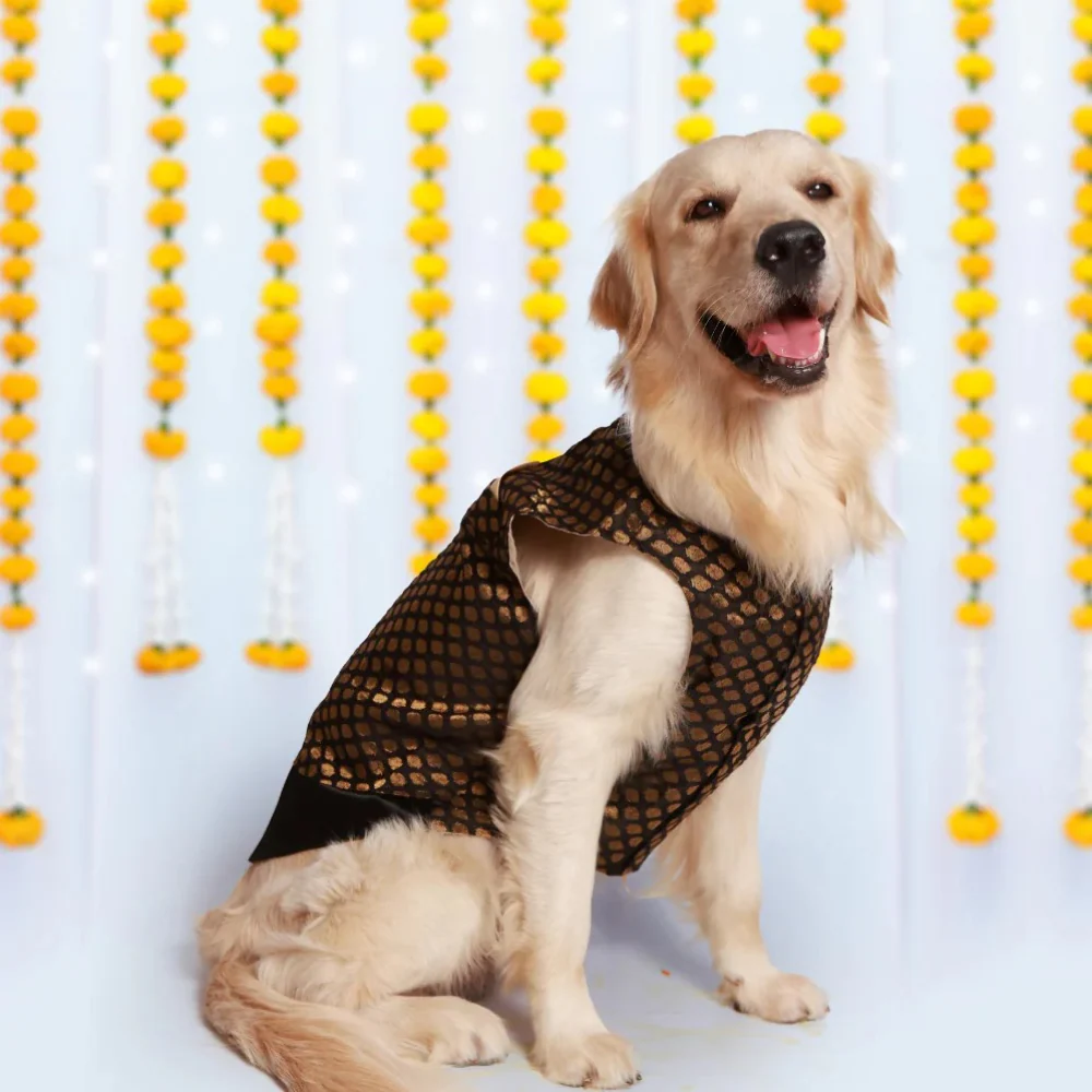 Pet Set Go Kurta for Dogs (Black) - Image 2