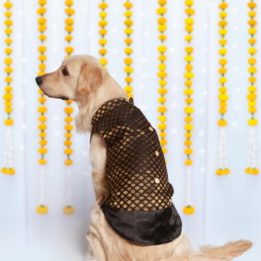 Pet Set Go Kurta for Dogs (Black) - Image 3