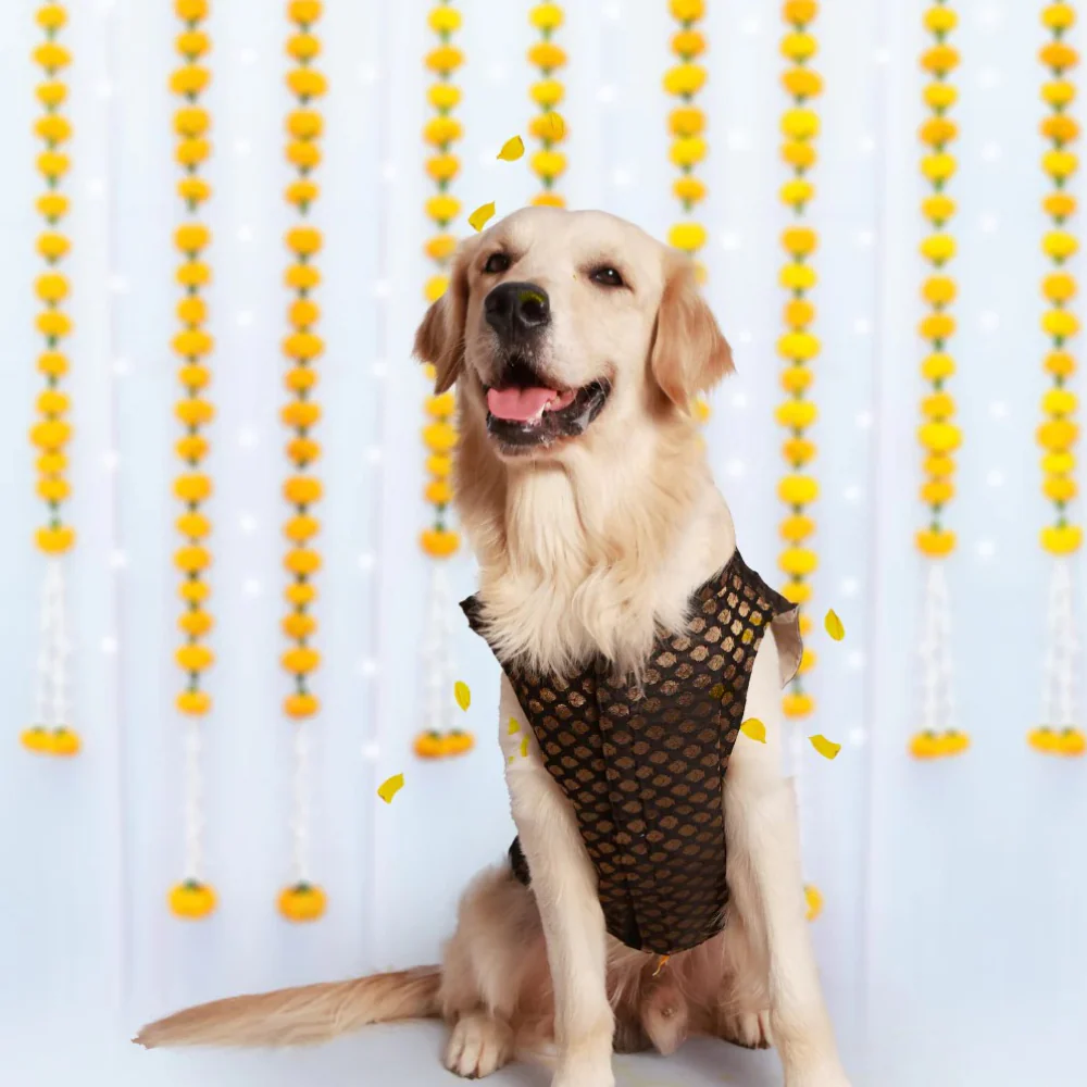 Pet Set Go Kurta for Dogs (Black) - Image 4