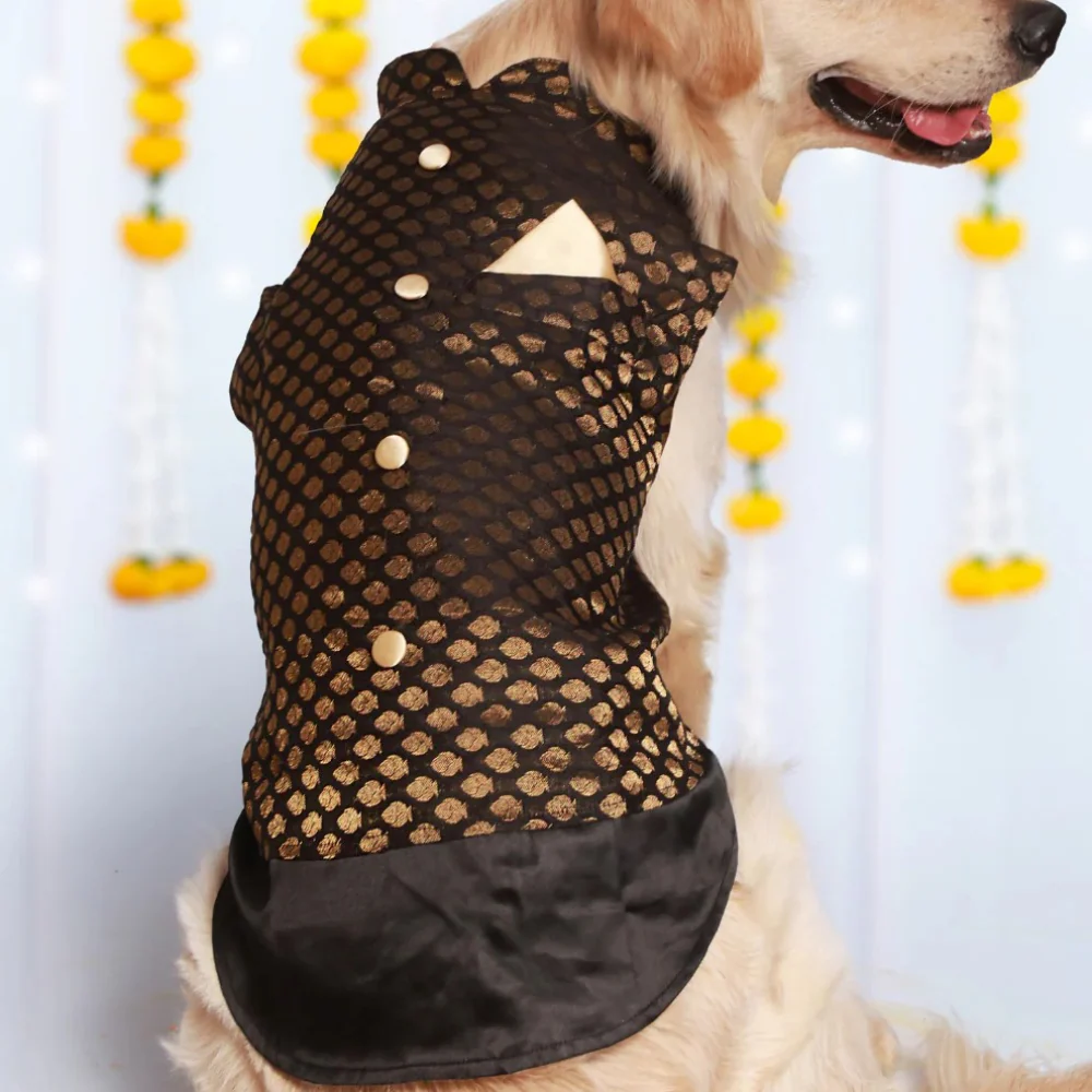 Pet Set Go Kurta for Dogs (Black) - Image 5