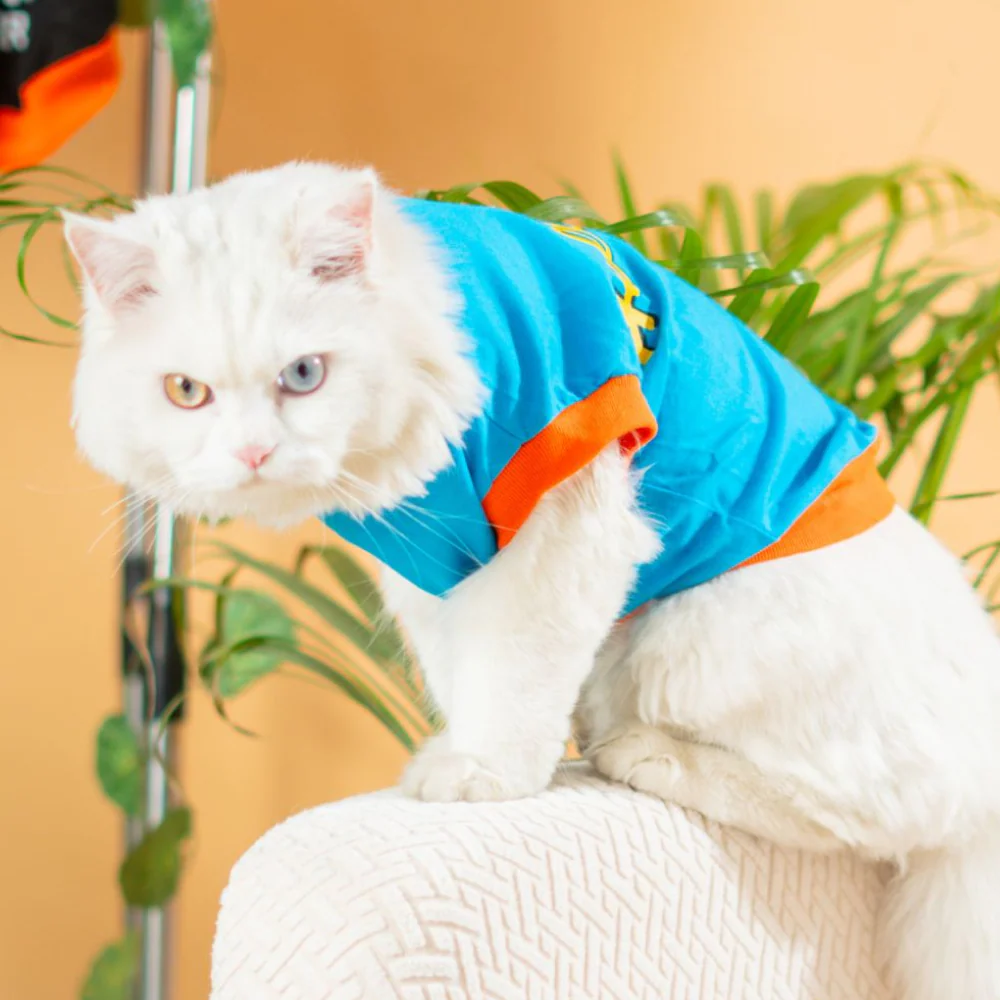 Pet Set Go Giraffe T-shirt for Cats (Blue) - Image 5