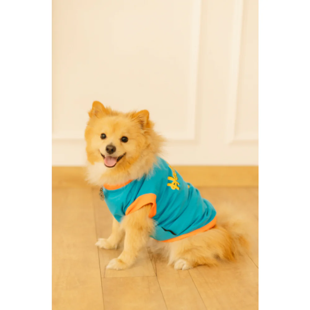 Pet Set Go Giraffe T-shirt for Dogs (Blue) - Image 5