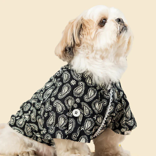 Pet Set Go Heritage Cotton Shirt for Dogs (Black) - Image 6