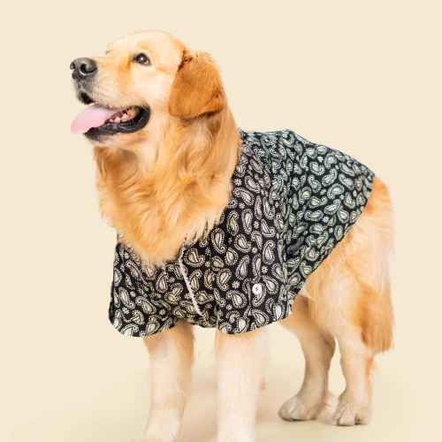 Pet Set Go Heritage Cotton Shirt for Dogs (Black) - Image 7
