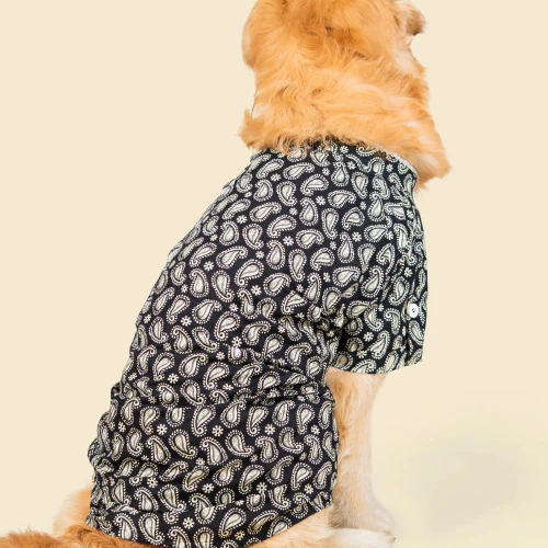Pet Set Go Heritage Cotton Shirt for Dogs (Black) - Image 8