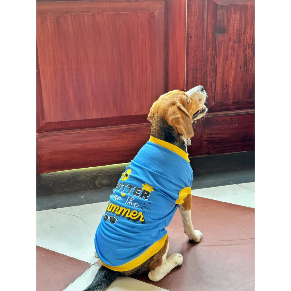 Pet Set Go Hotter Than The Summer Sleeveless T Shirt for Dog (Blue) - Image 10