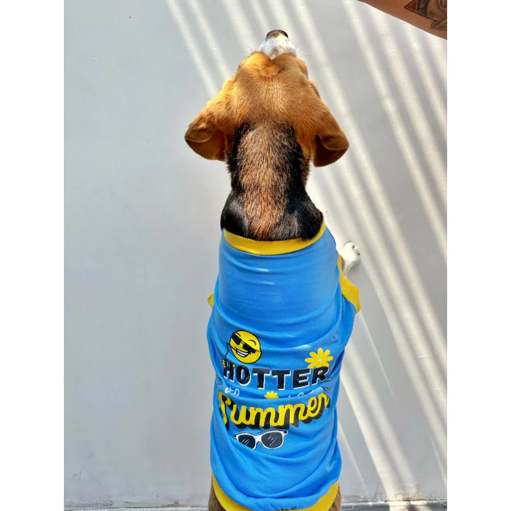 Pet Set Go Hotter Than The Summer Sleeveless T Shirt for Dog (Blue) - Image 11