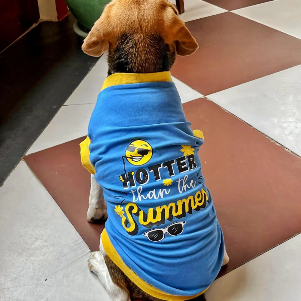 Pet Set Go Hotter Than The Summer Sleeveless T Shirt for Dog (Blue) - Image 3