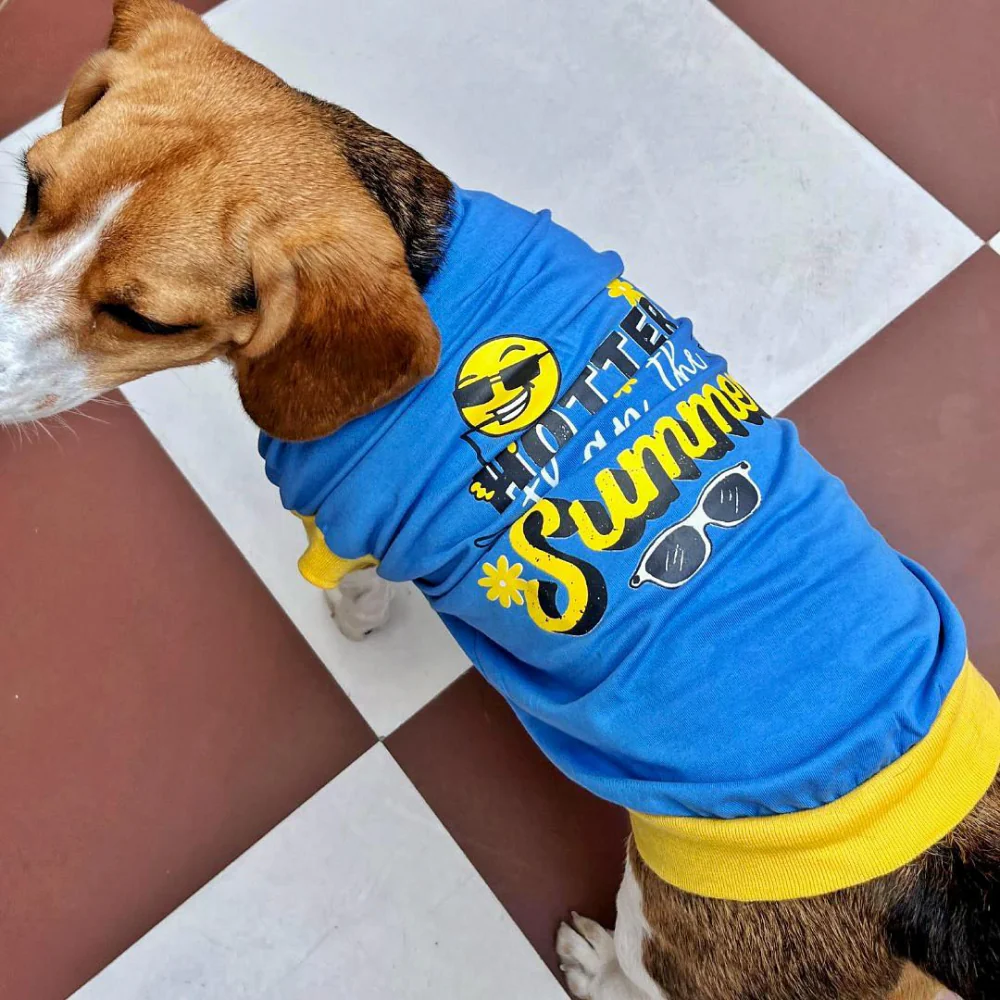 Pet Set Go Hotter Than The Summer Sleeveless T Shirt for Dog (Blue) - Image 4