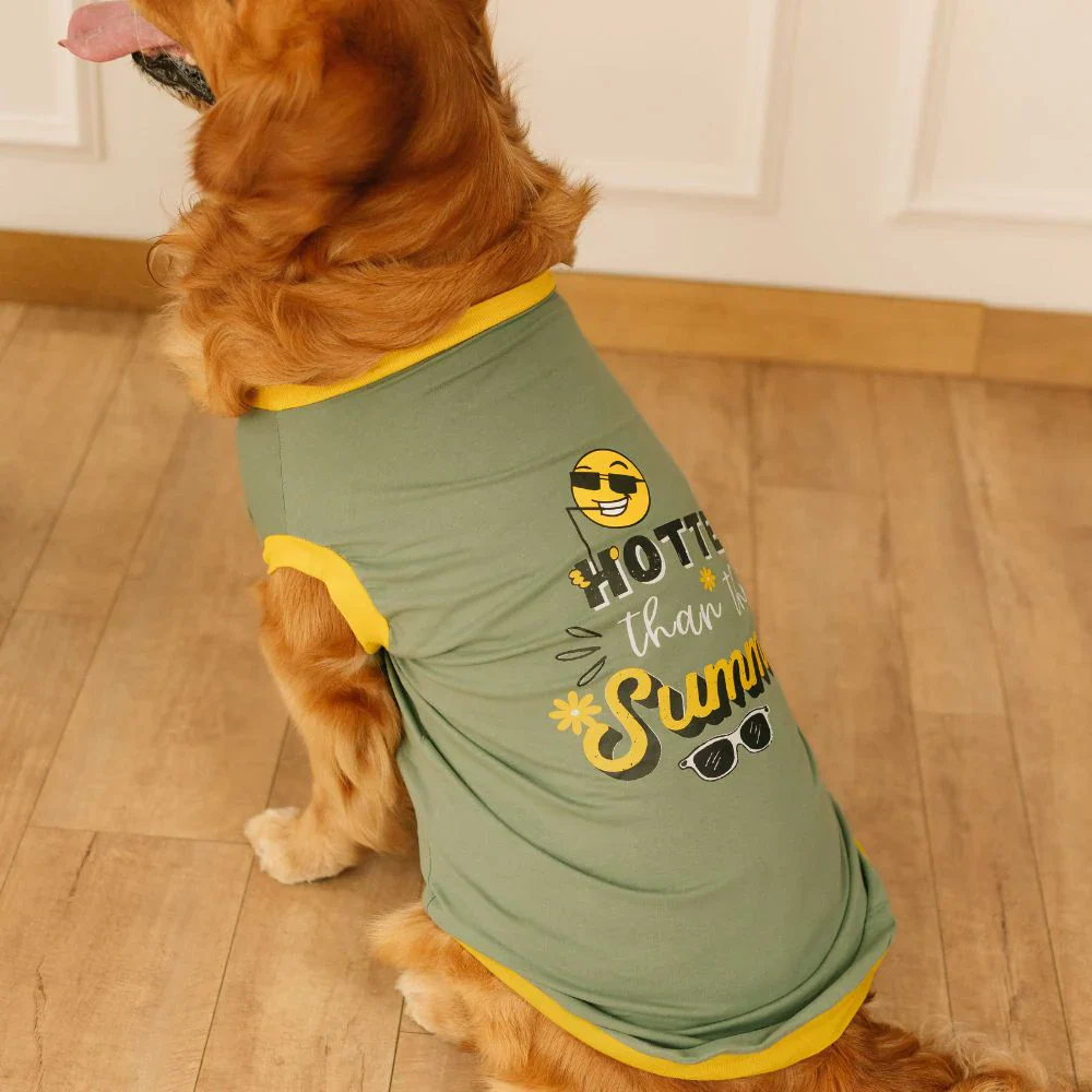 Pet Set Go Hotter Than The Summer Sleeveless T Shirt for Dog (Green) - Image 2