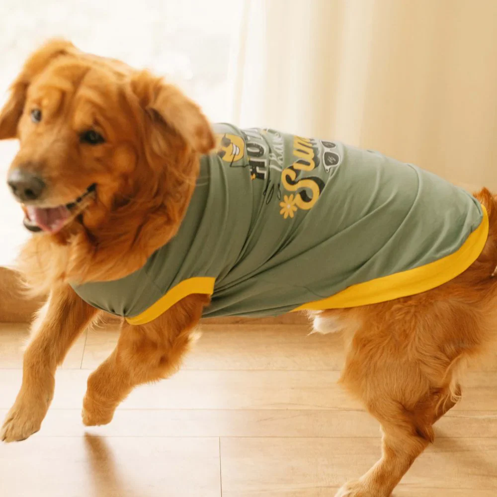 Pet Set Go Hotter Than The Summer Sleeveless T Shirt for Dog (Green) - Image 3