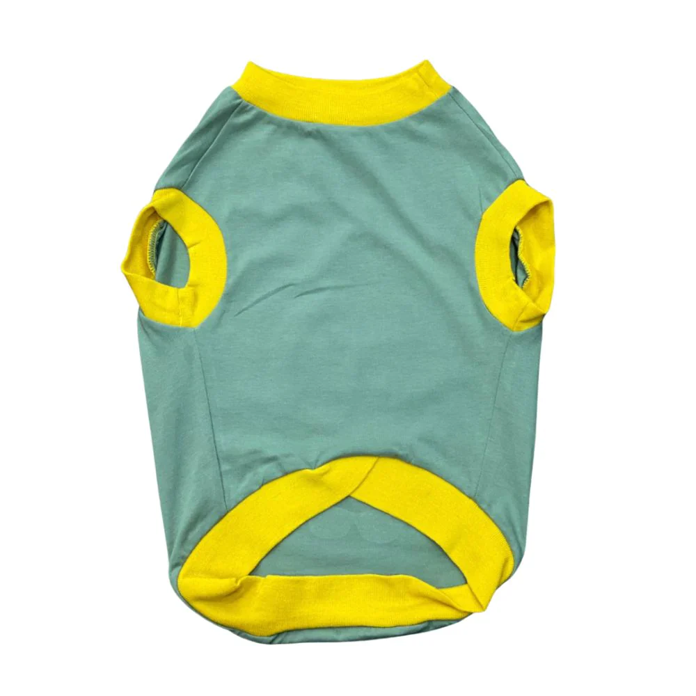 Pet Set Go Hotter Than The Summer Sleeveless T Shirt for Dog (Green) - Image 5