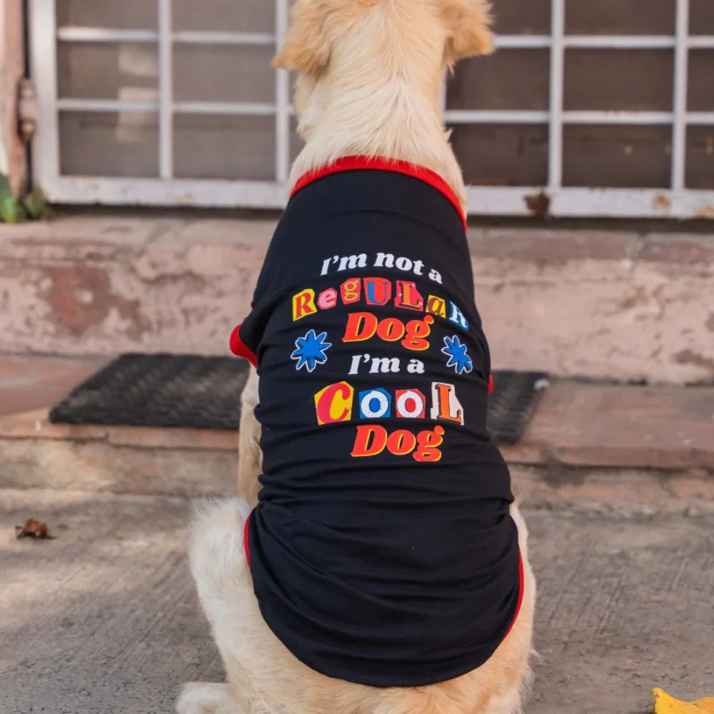 Pet Set Go I’m Not a Regular Dog T shirt for Dogs (Black) - Image 4