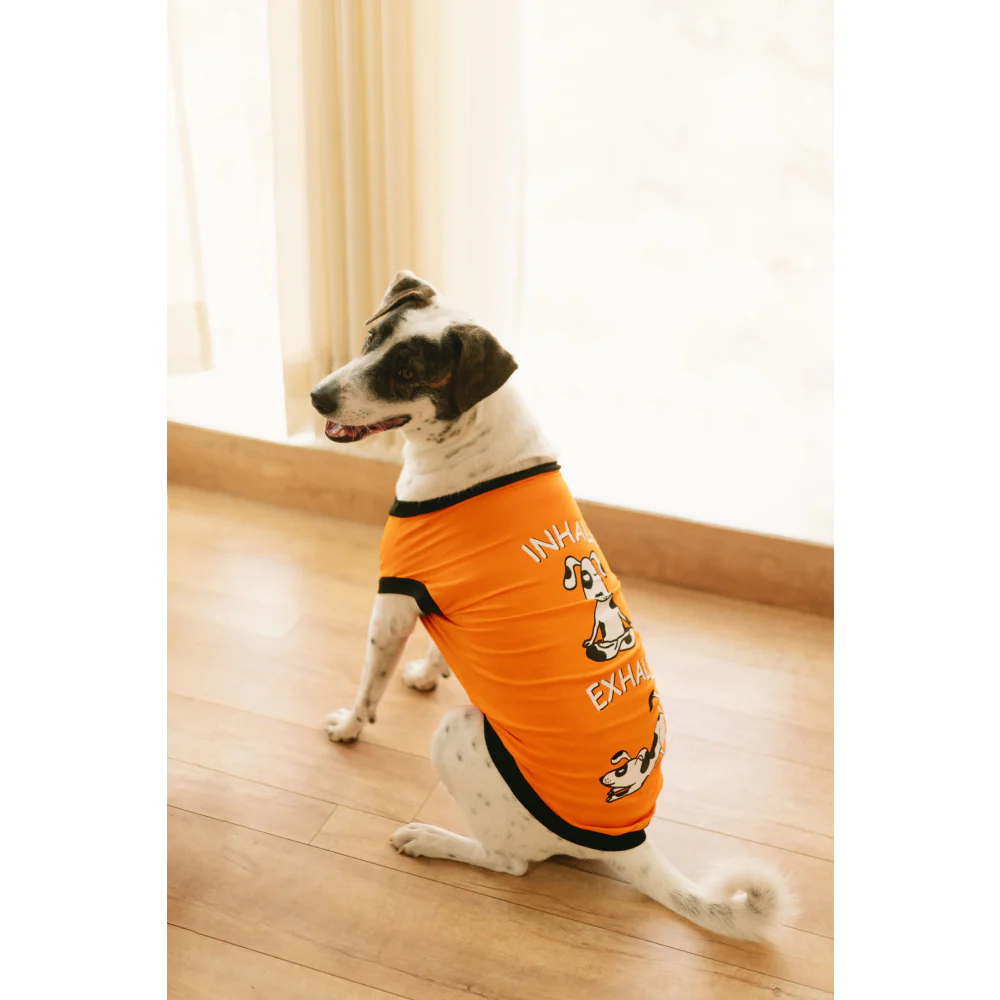 Pet Set Go Inhale Exhale T-shirt for Dogs (Orange) - Image 5