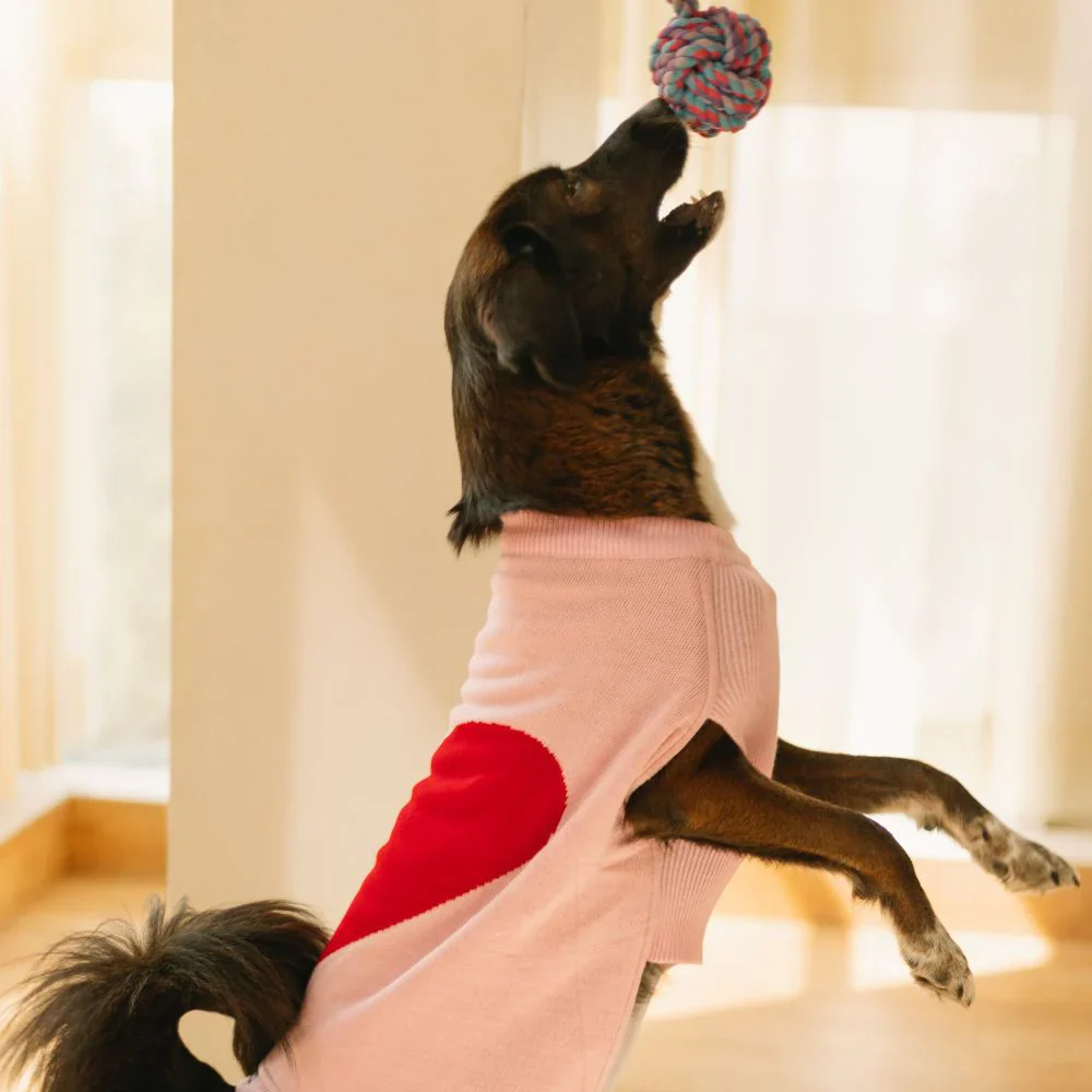 Pet Set Go Ira’s Sweater for Dogs and Cats (Red & Pink) - Image 3