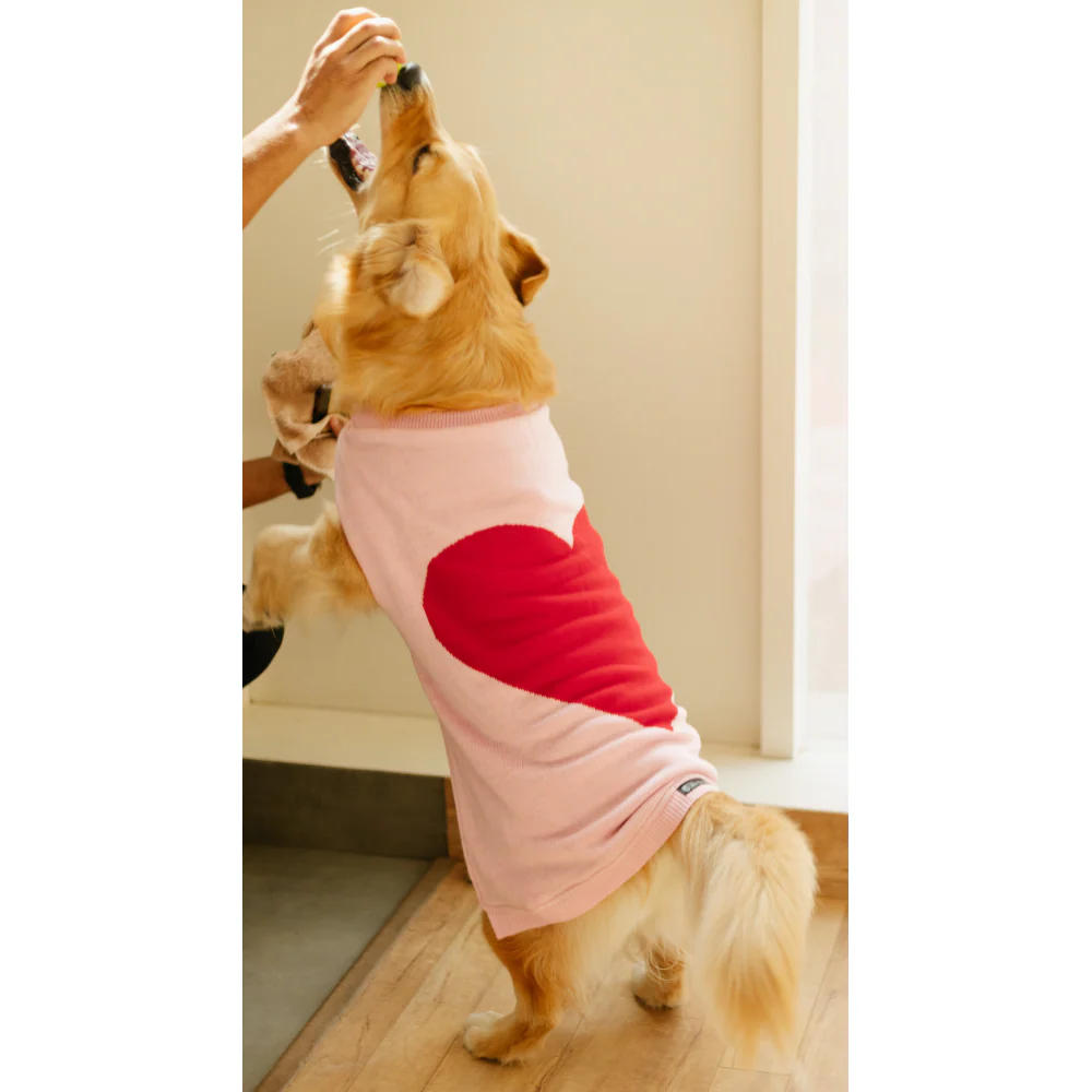 Pet Set Go Ira’s Sweater for Dogs and Cats (Red & Pink) - Image 4