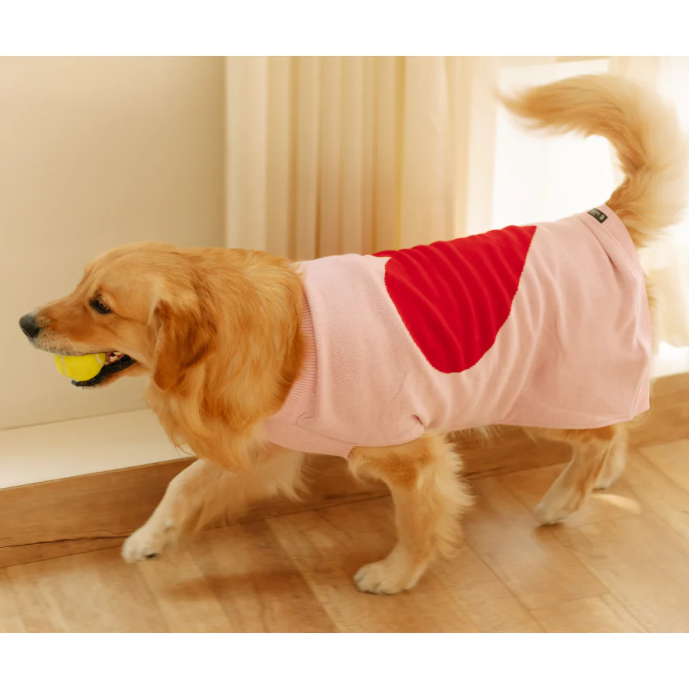Pet Set Go Ira’s Sweater for Dogs and Cats (Red & Pink) - Image 5