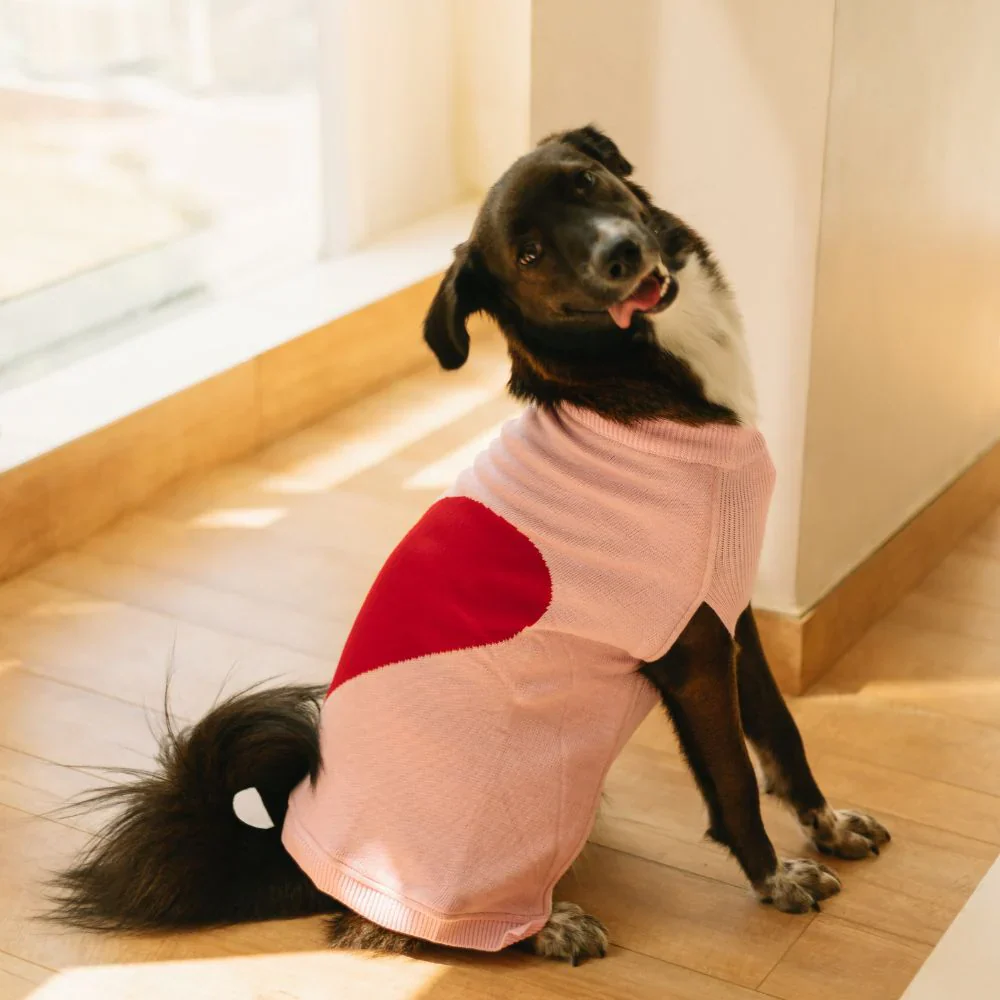 Pet Set Go Ira’s Sweater for Dogs and Cats (Red & Pink) - Image 6