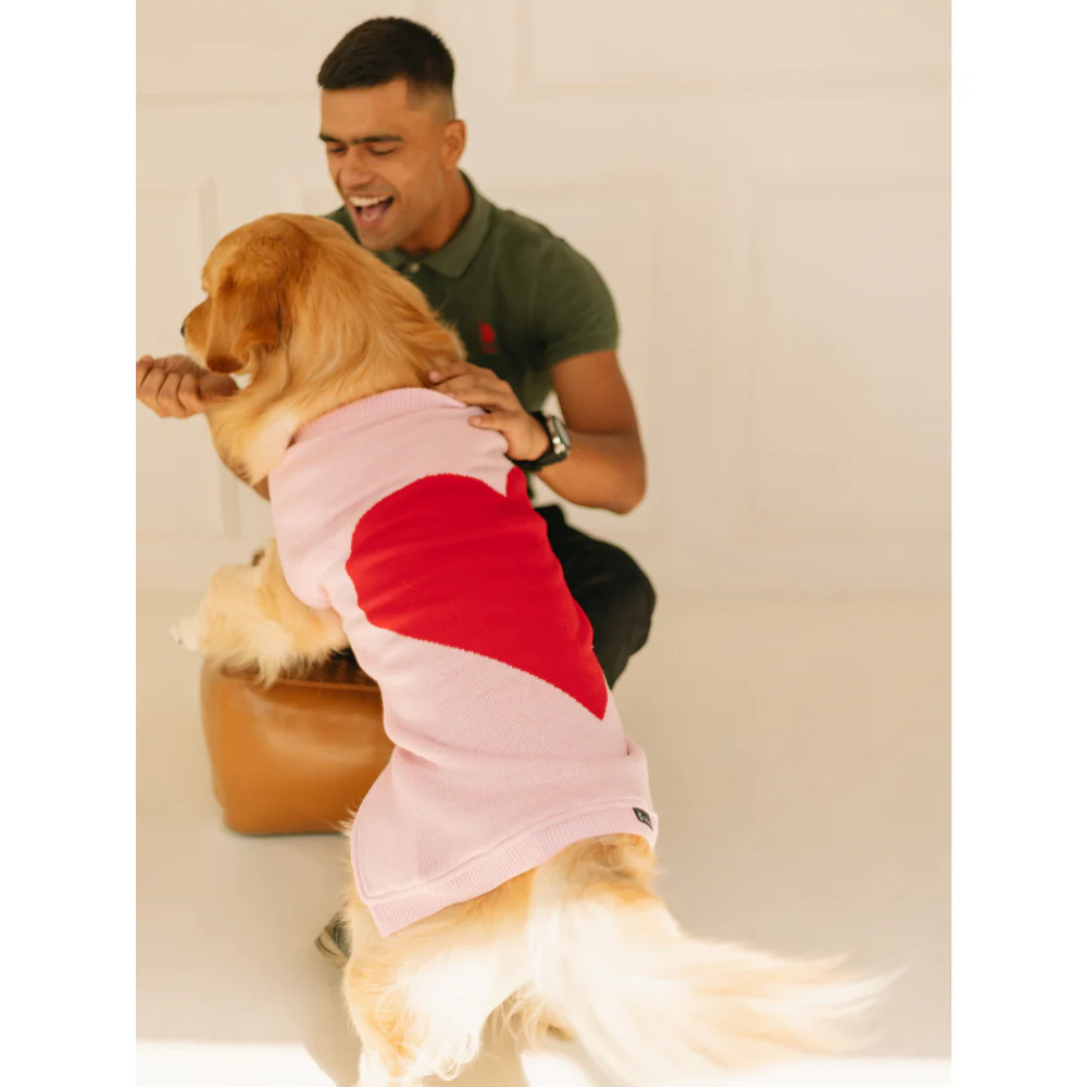 Pet Set Go Ira’s Sweater for Dogs and Cats (Red & Pink) - Image 9