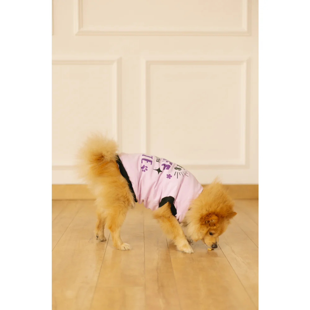 Pet Set Go Its Ruff Being This Cute T-Shirt for Dogs (Light Voilet) - Image 3
