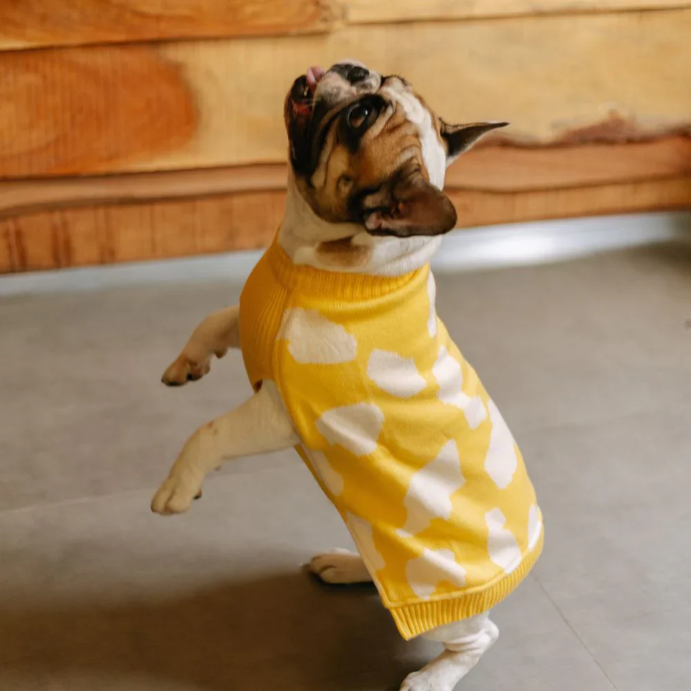 Pet Set Go Joey’s Sweater for Dogs and Cats (Yellow) - Image 4