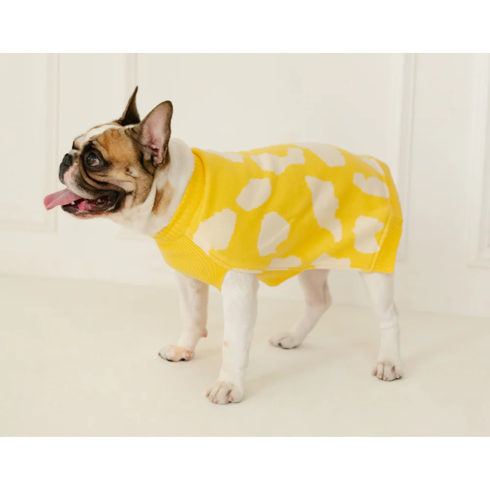 Pet Set Go Joey’s Sweater for Dogs and Cats (Yellow) - Image 6