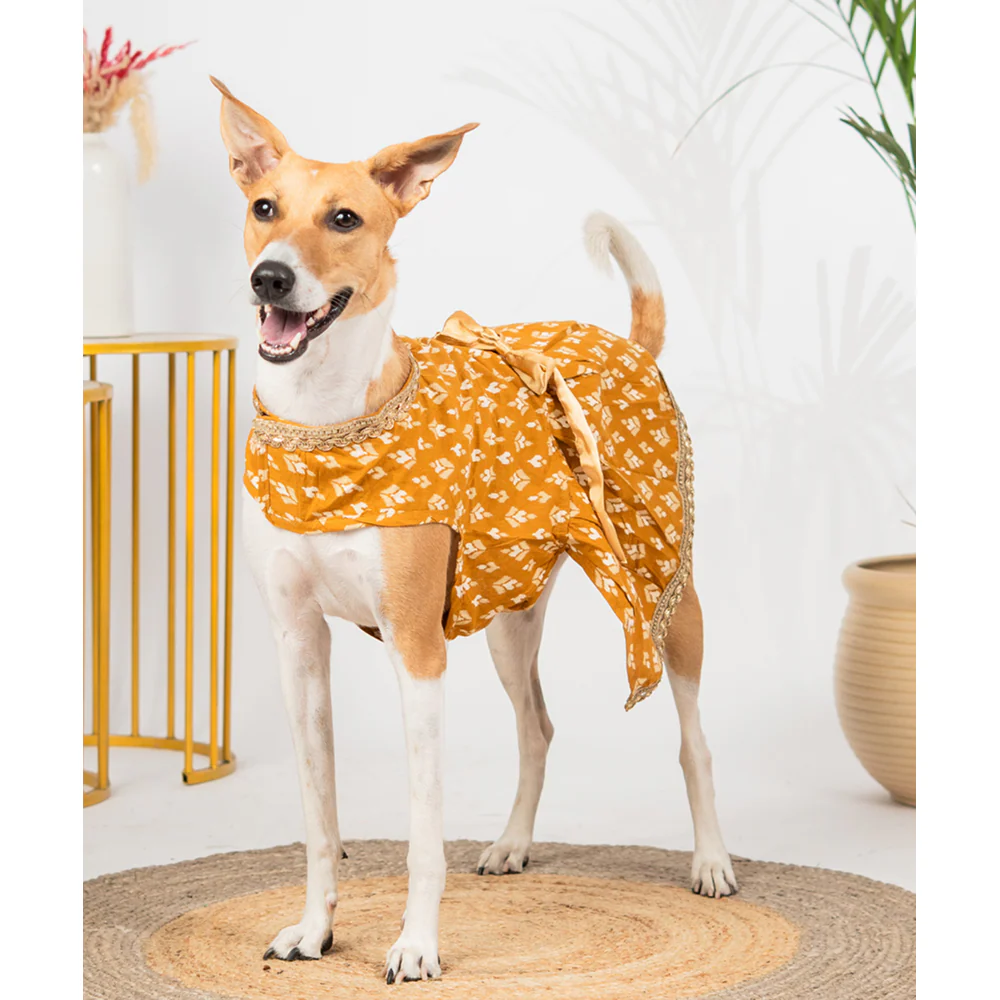 Pet Set Go Kanak Cotton Dress for Dogs (Orange) - Image 4