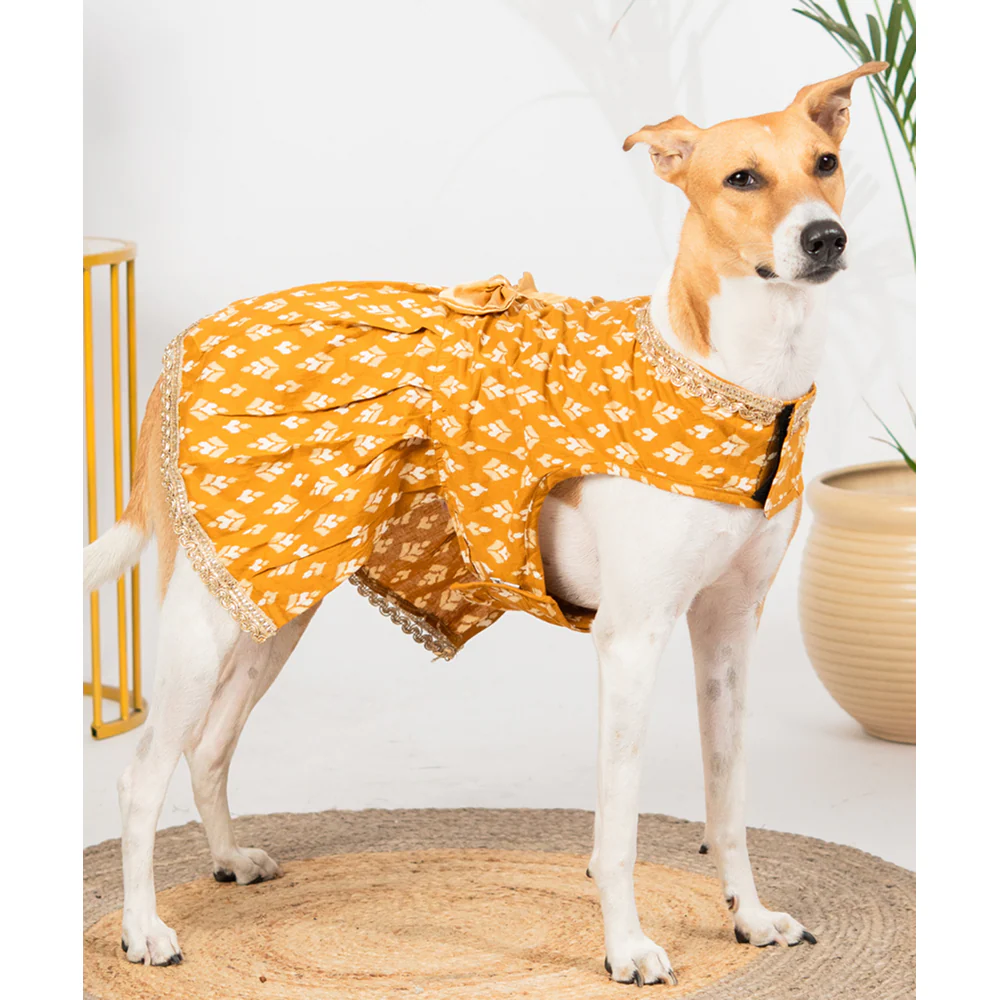 Pet Set Go Kanak Cotton Dress for Dogs (Orange) - Image 5