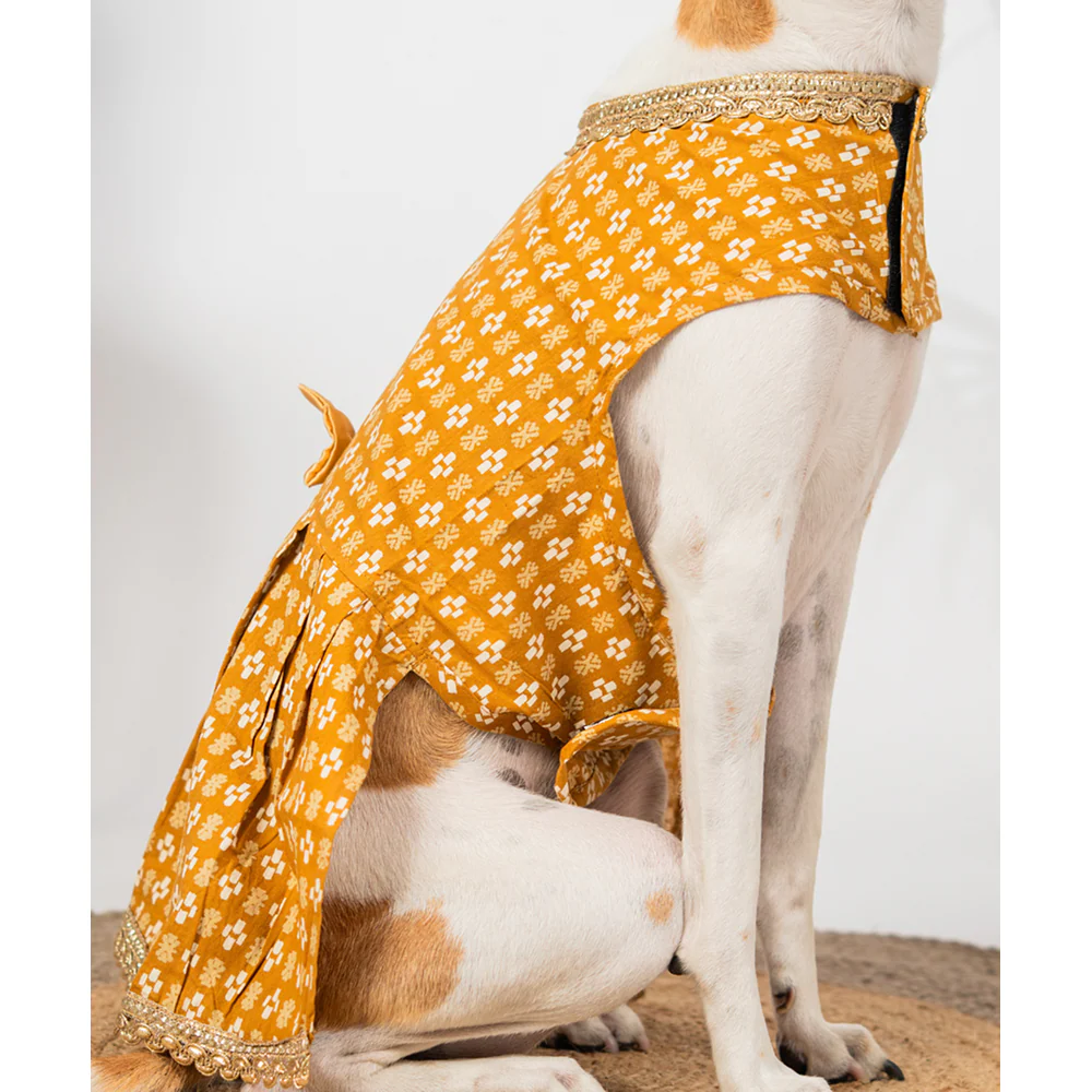 Pet Set Go Kanak Cotton Dress for Dogs (Orange) - Image 6